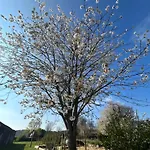 L'echo De La Nature * Sasseville