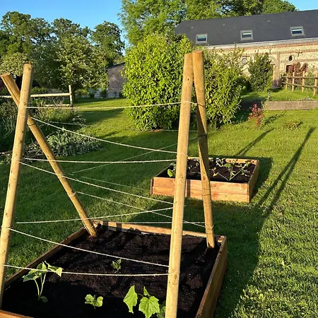 L'echo De La Nature *