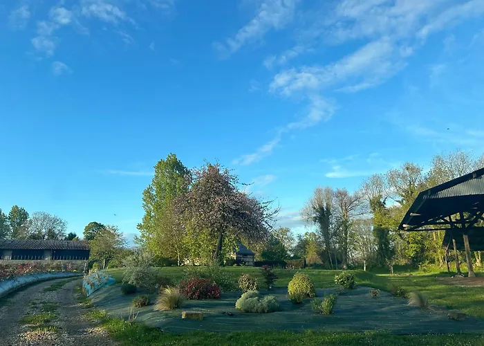 L'echo De La Nature *