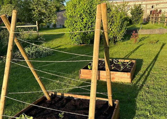 L'echo De La Nature *