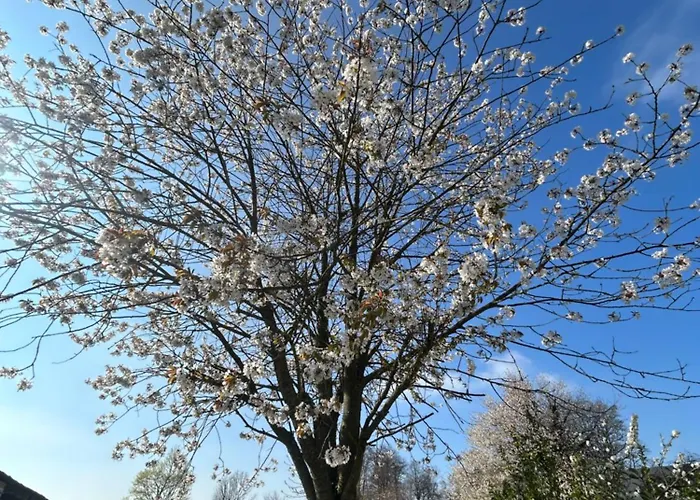 L'echo De La Nature * Sasseville